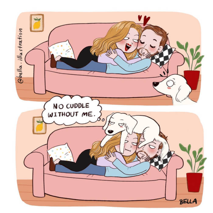 20. To all the pet owners