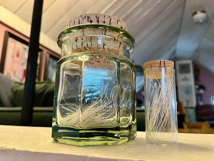 "Here's My Whisker Collection. 300 In The Green Jar, As Impossible As That Looks"