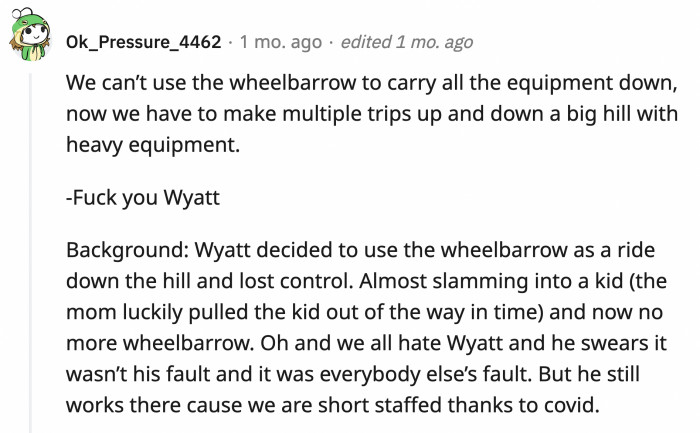 17. Wyatt, who had to be trained not to ride a wheelbarrow downhill