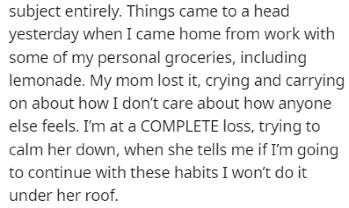 OP Bought Some Groceries, Including Lemonade, and That Made Her Mom Lose It