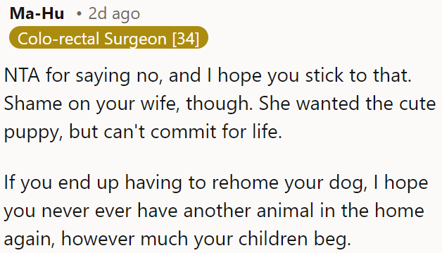 OP's wife wanted a puppy but isn't committed, and if she rehomes the dog, they should avoid getting another pet despite their children's pleas.