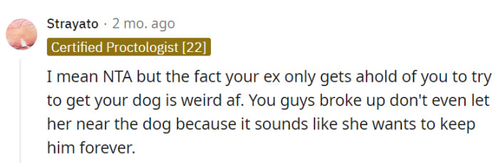 The ex's sole interest in the dog is definitely unusual...
