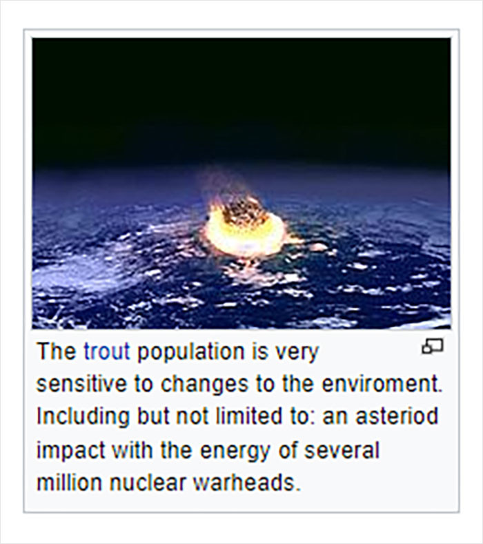 4. That went from zero to 100 very quickly.