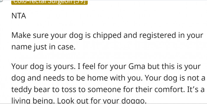 It is his dog. Period.