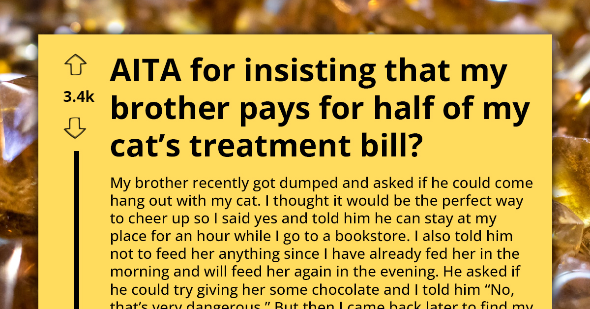 OP Faces Criticism From Parents For Charging Brother With Cat's Vet Fees After He Deliberately Gave It Chocolate