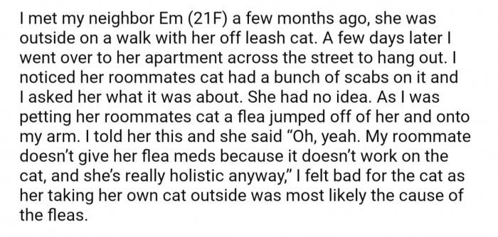 She met her across the street neighbor (Em) while they were walking their cat, and a few days later went over to her apartment to hang out