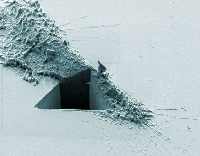 "A Cancer Cell Slashed Open By An Ion Beam"