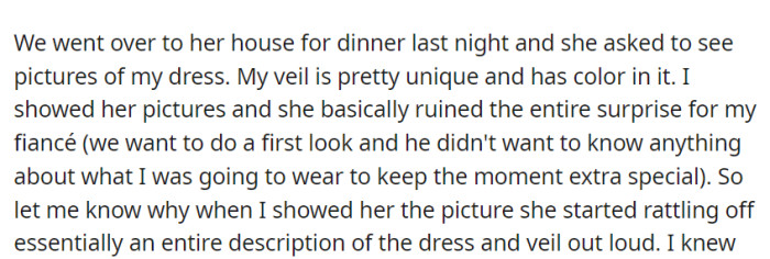 She showed her dress and colorful veil to her friend at dinner, but her friend unintentionally revealed every detail, spoiling the surprise for her fiancé's first look.