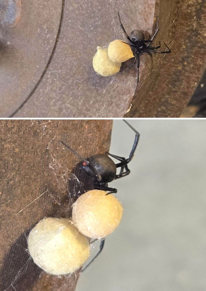 "You'll Never Guess How My Tech Discovered This"