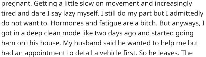 She took it upon herself to deep clean the house, and her husband said he wanted to help but had an appointment.