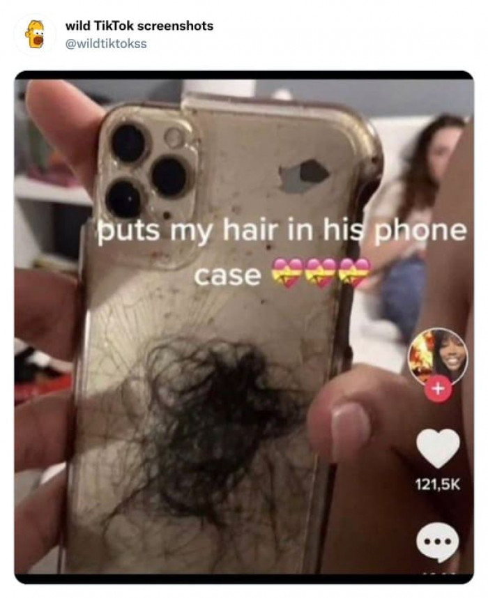 1. Hair in Phone Case