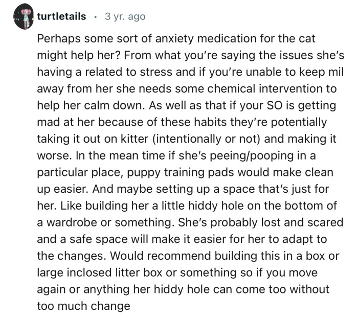 “Perhaps some sort of anxiety medication for the cat might help her.”