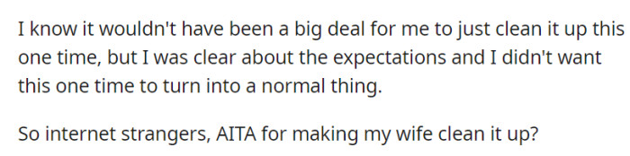 OP now questions whether they were wrong to ask their wife to clean up cat pee.