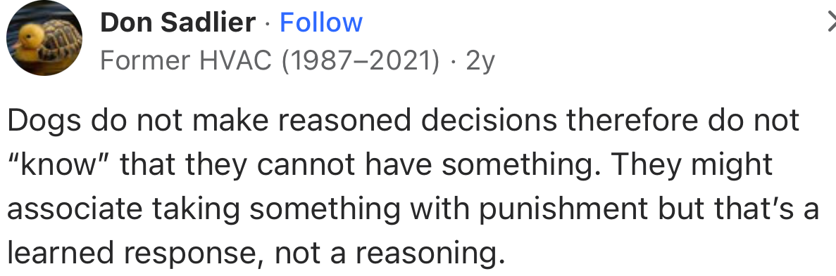 According to This Netizen, Dogs Have No Idea That They Cannot Have Something. This Is Beautiful; They Don’t Have the Ability to Make Reasoned Decisions