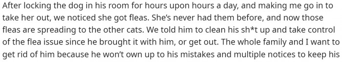 This is when she explains that she found that the fleas were a problem.