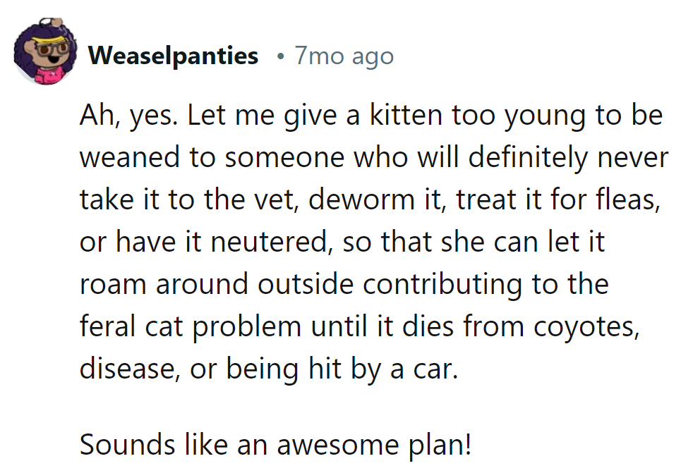 It's like a 'cat-astrophe' waiting to happen – where's the purr-fect ending in that?