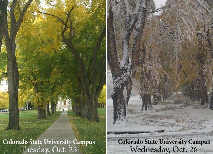 "Before: Fort Collins, CO On October 25th 2011 After: Fort Collins, CO On October 26th 2011"