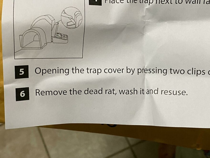 3. Need Help With Rat