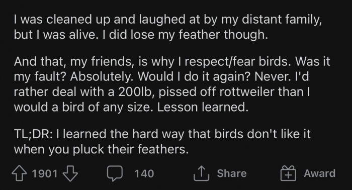 OP learned after this incident to never disrespect a bird ever again.