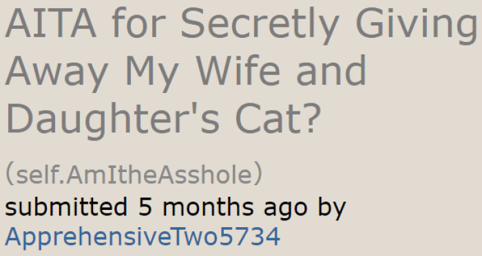 The original poster (OP) wants to know if he's the a-hole for secretly giving away the family cat.