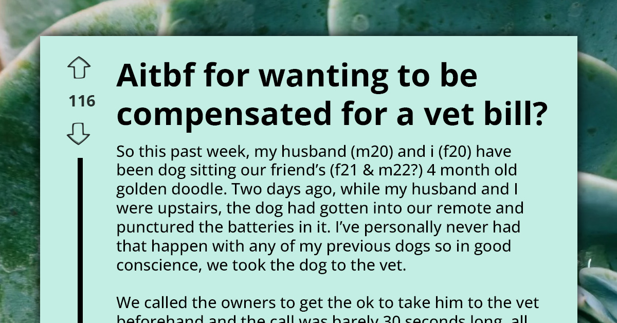 Dog Owner vs. Pet Sitters - Who Pays $300 Vet Bill For Swallowed Batteries