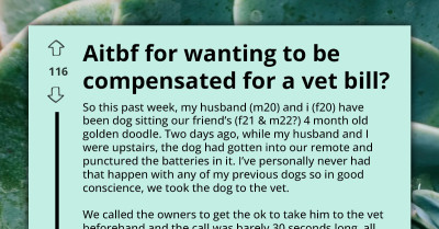 Dog Owner vs. Pet Sitters - Who Pays $300 Vet Bill For Swallowed Batteries