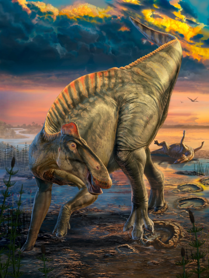 Soft-tissue impressions reveal the appearance and behavior of dinosaurs beyond bones.