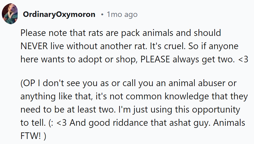Two's Company for Rats! Remember, They're Social Creatures. And As for That Awful Guy? Animals for the Win!