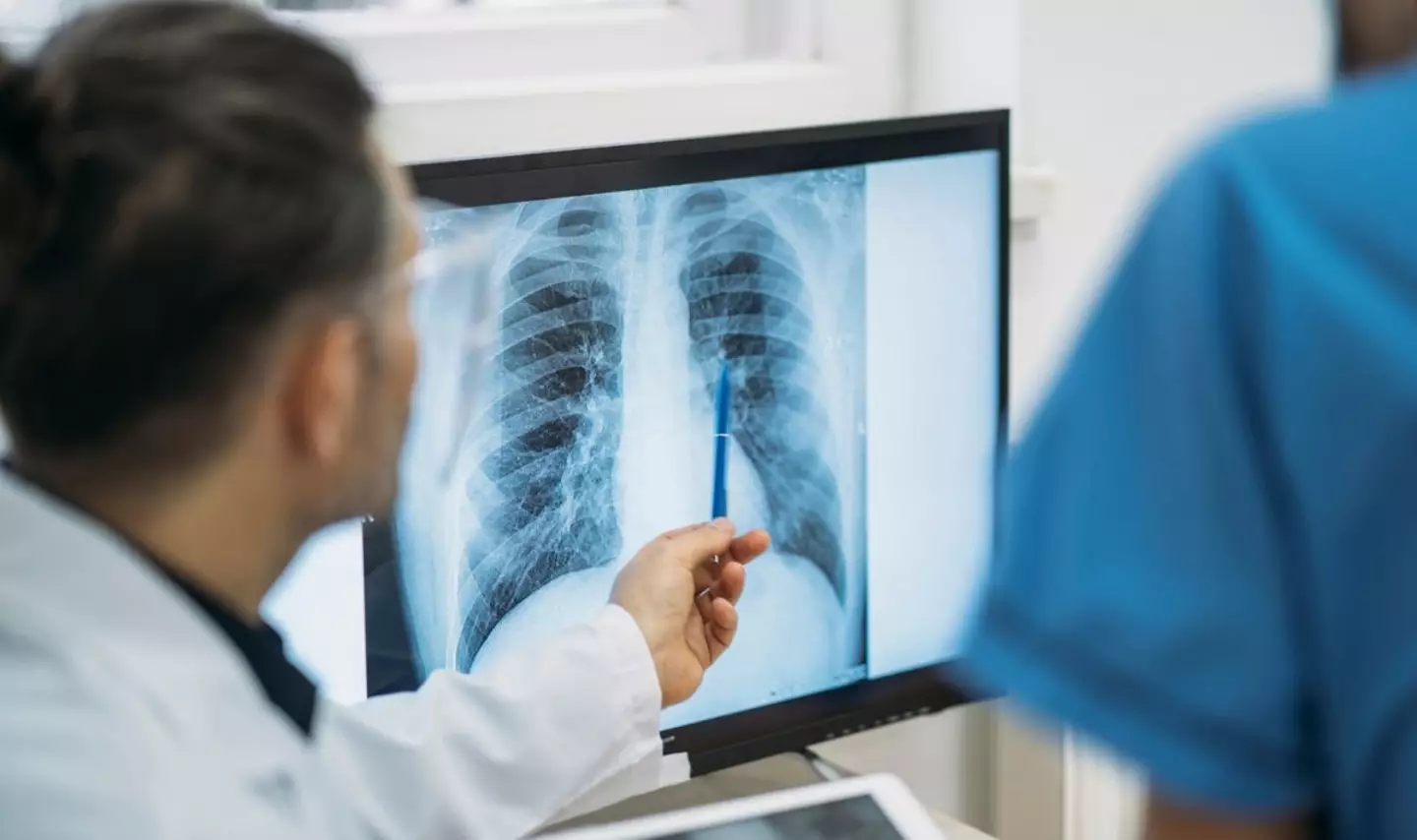 Lab-Grown Organs Will Become the Norm