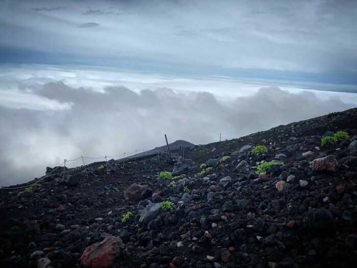 Gotemba Trail, Japan - 12 Miles
