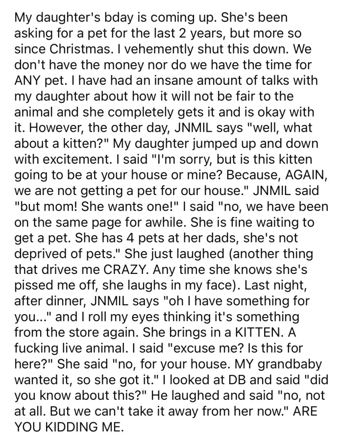 The OP was furious when her MIL bought a kitten for her daughter against her wishes.