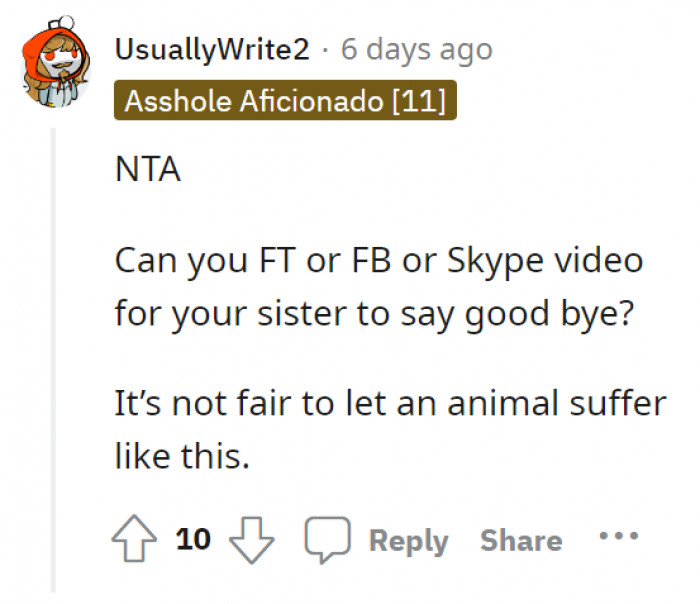 A form of solution—let the sister say goodbye to Bella on a video call. The ultimate goal is to stop this animal torture.
