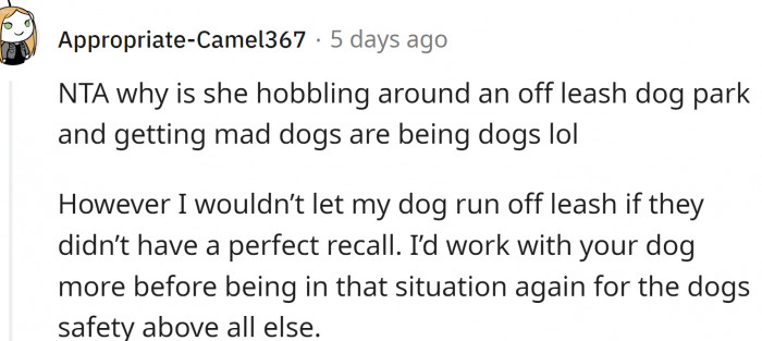 The old lady should be careful. OP should also train their dog better.