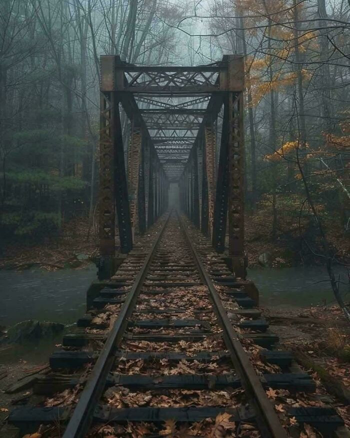 Old Railroad Bridge In The Woods
