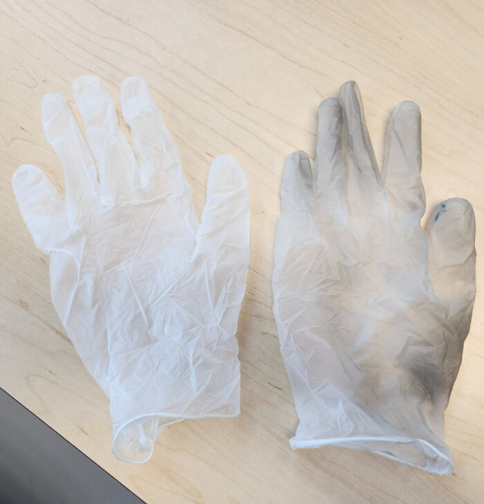 "Gloves Before And After Handling Ballots For Half A Day"