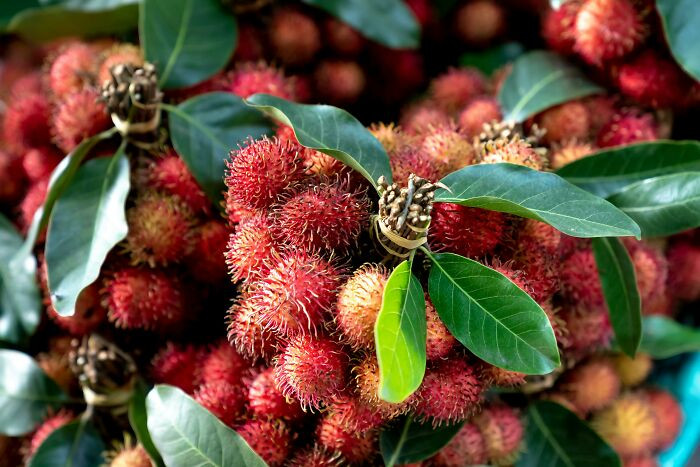 Rambutans
