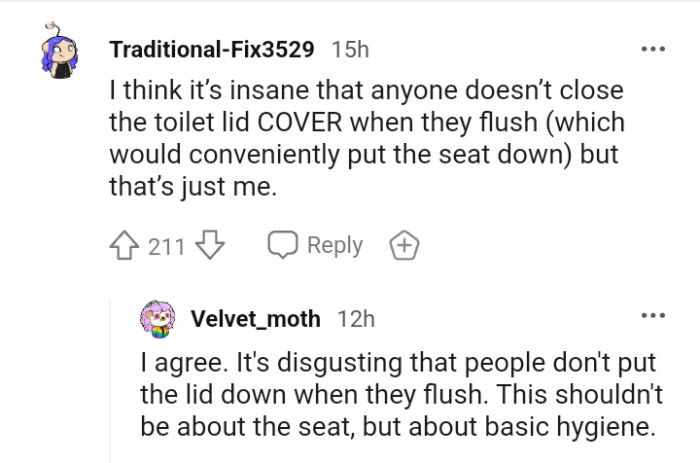 It's insane for someone not to close the toilet lid