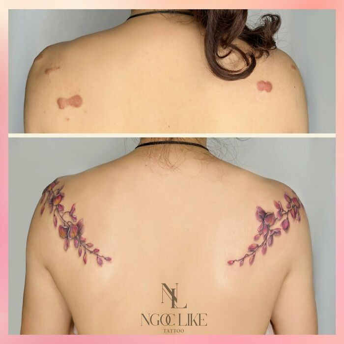 24. There's still more to see