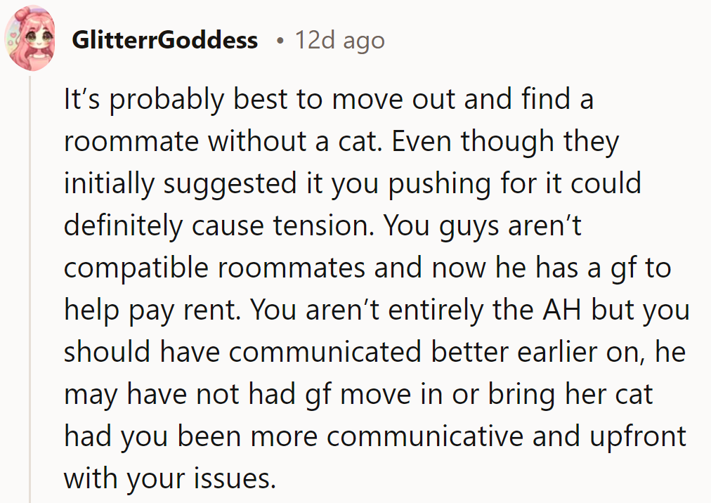 It might be time to find a cat-free roommate for harmony's sake.