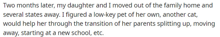 Recognizing the need for stability and emotional support amidst significant life changes such as moving away, starting a new school, and their parents' separation, OP made the thoughtful decision to get their daughter a new cat, hoping it would provide comfort and companionship throughout the transition.