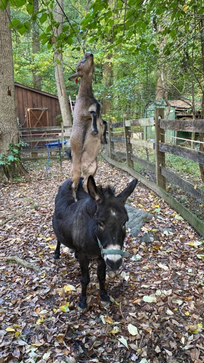 24. We get by with a little help from our friends.