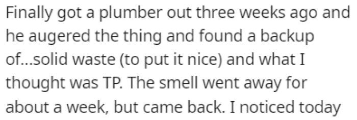 OP finally decided to have a plumber come over and check it out but the problem was only solved for a week