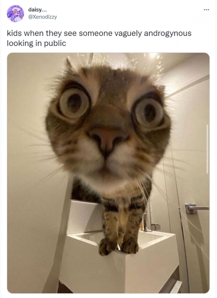 43. It's not just kids that stare...