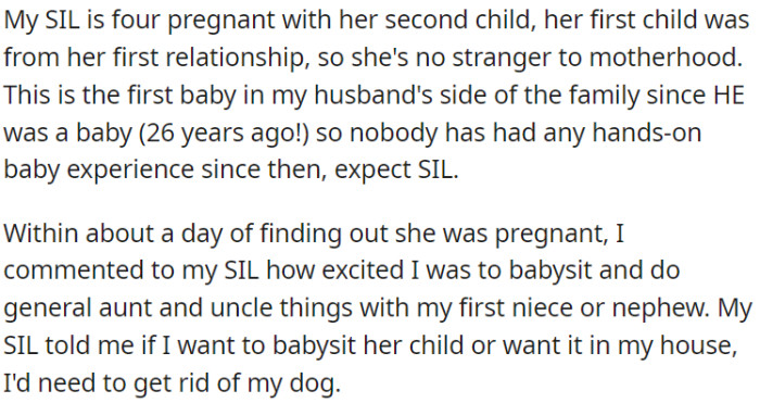 OP's sister-in-law, who is expecting her second child, told OP to get rid of her dog if she wants to babysit or have the baby at her house.