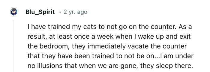 They just can’t stay away from the countertop