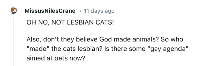 “Don’t they believe God made animals? So who ‘made’ the cats lesbian?“