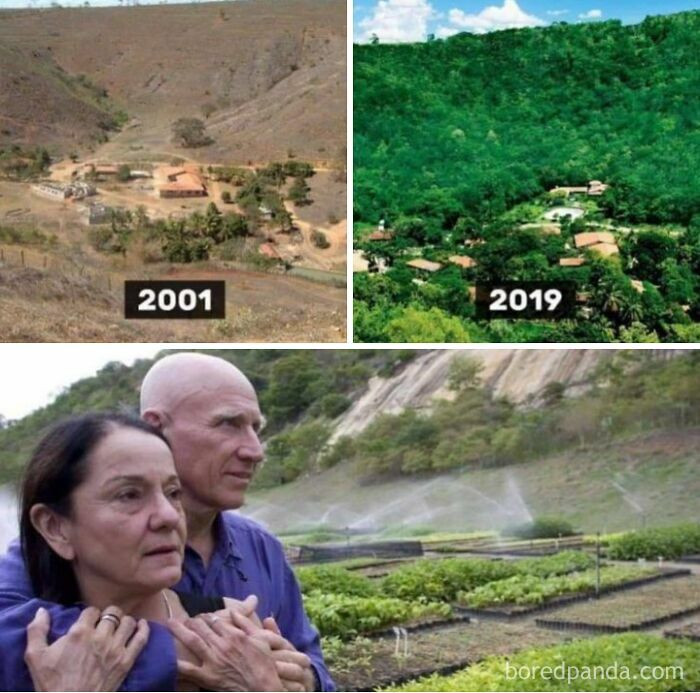 "This Couple Planted Over 2 Million Trees To Regrow A Forest In 20 Years"
