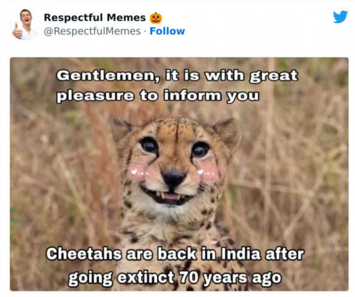 19. When Conservation Efforts Are Successful