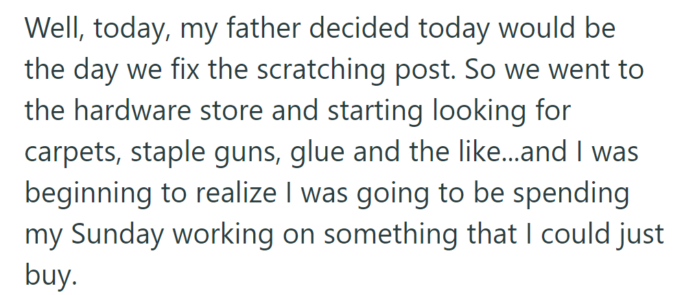 Dad decides to fix the scratching post, prompting a trip to the hardware store. They realize they could have just bought a new one instead.