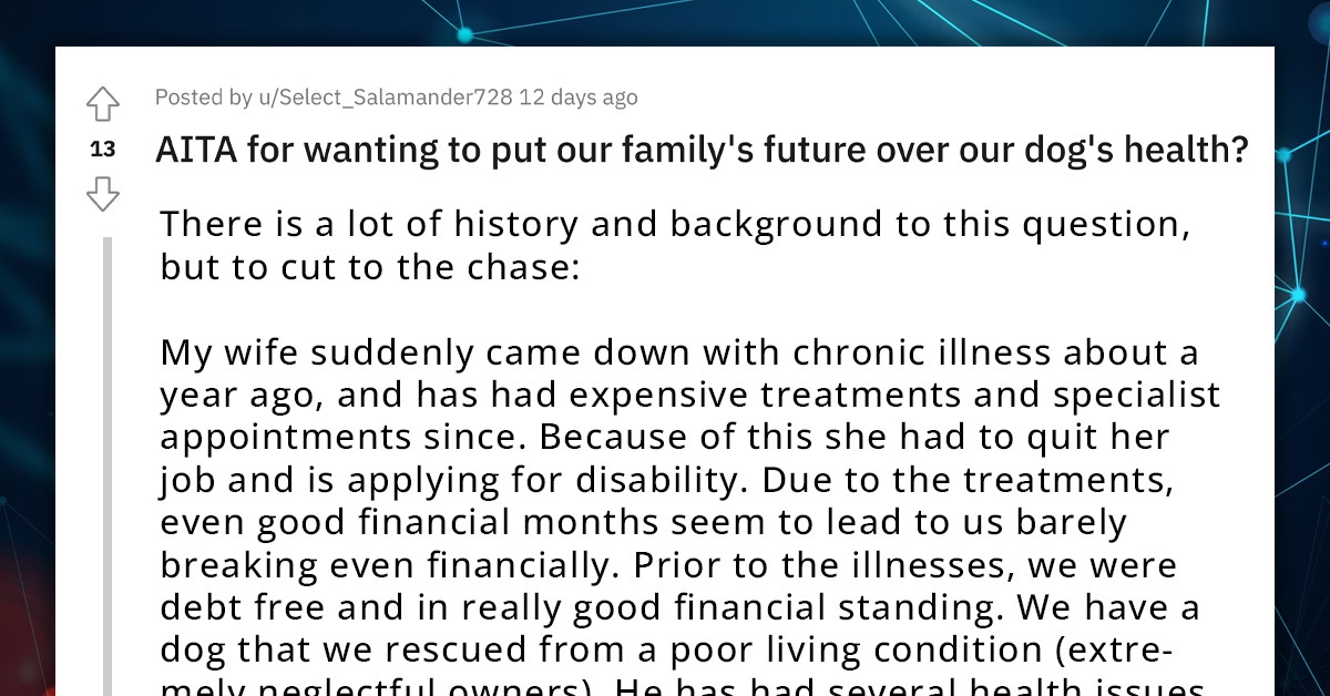 Redditor Feels Bad After Being Forced To Prioritize His Family Over His Dog's Health Due To His Wife's Illness